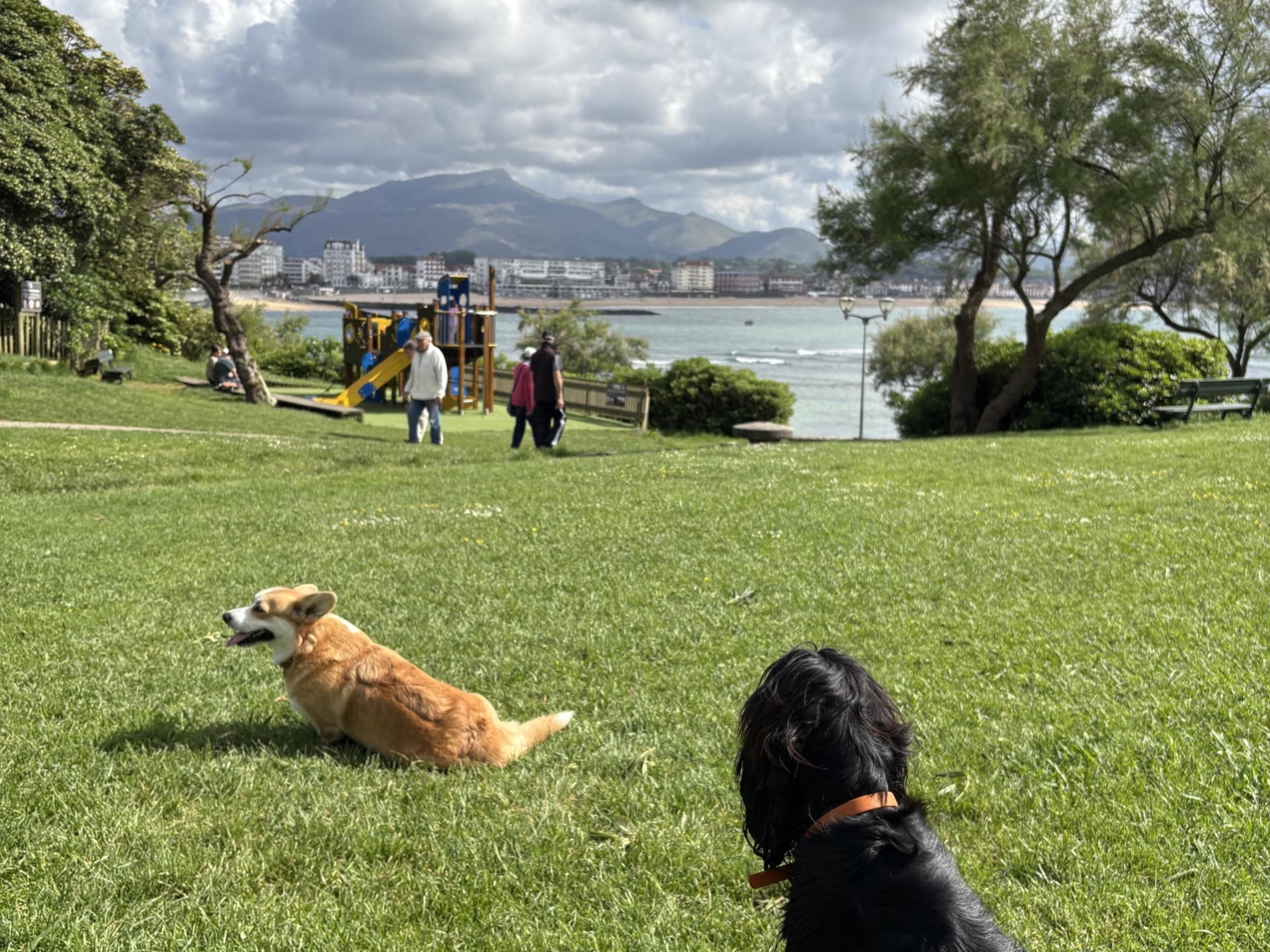 pattes en mouv pet sitter à guéthary côte basque 012