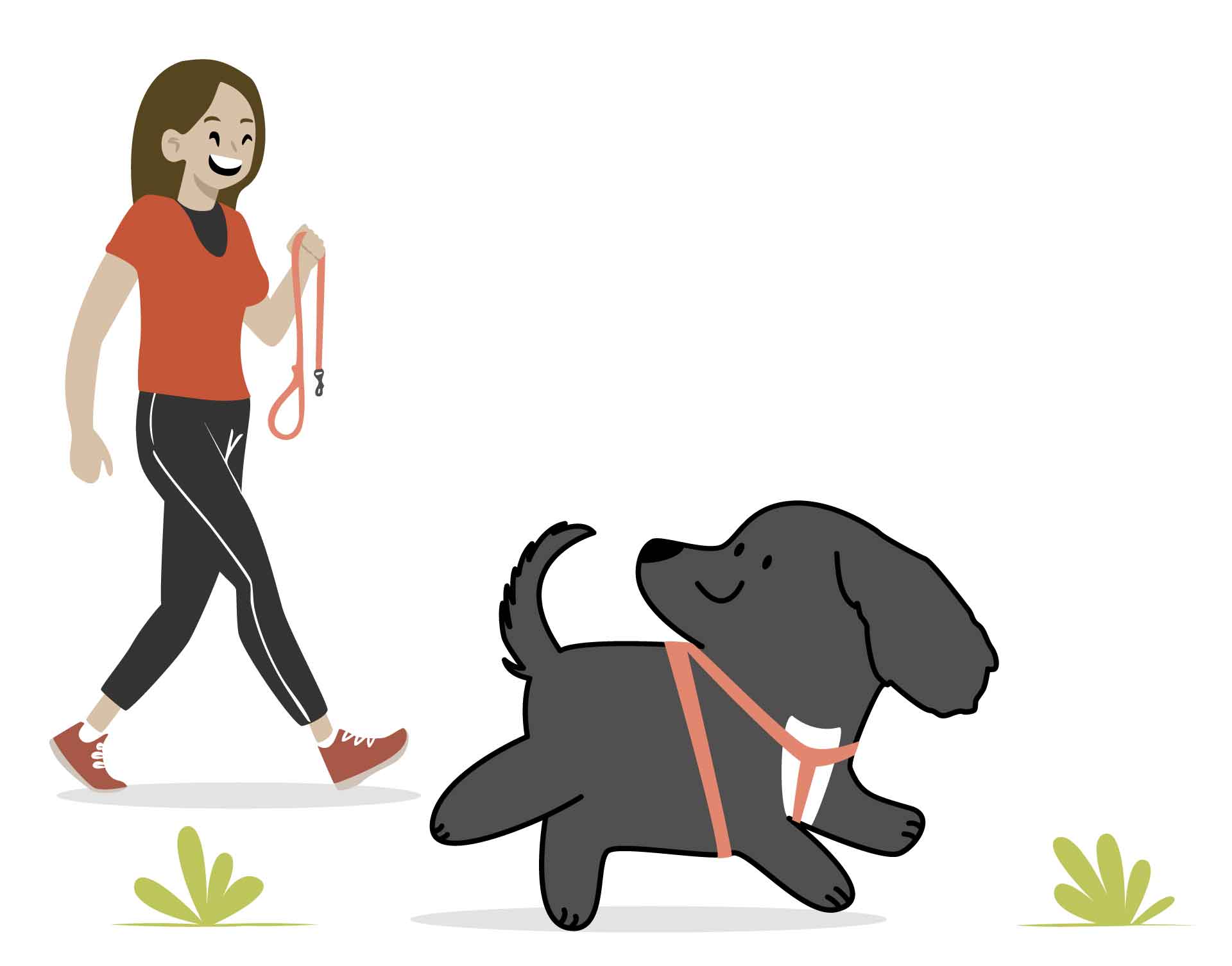 pet sitter à guéthary & côte basque promenades de chiens